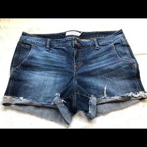 Torrid Denim Shorts Size 18